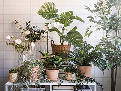 FEJKA - Tanaman tiruan dalam pot, dalam/luar ruang Monstera, 19 cm