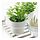 FEJKA - tanaman tiruan dalam pot, dalam/luar ruang Daun mint, 9 cm | IKEA Indonesia - PH204513_S1