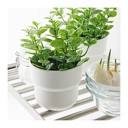 FÖRENLIG - Plant pot, in/outdoor white, 9 cm