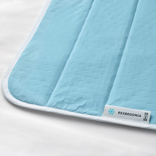 REXBEGONIA mattress protector