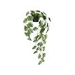 FEJKA - Tanaman tiruan dalam pot, dalam/luar ruang digantung/Monstera, 9 cm
