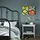 COLORADOGRAN - set 3 gambar, colourful adventures | IKEA Indonesia - PE921925_S1