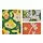 COLORADOGRAN - set 3 gambar, colourful adventures | IKEA Indonesia - PE921926_S1