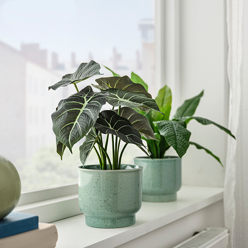 SAMMETSSYREN plant pot