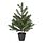 VINTERFINT - tanaman tiruan dalam pot, dalam/luar ruang/pohon Natal hijau, 55 cm | IKEA Indonesia - PE951053_S1