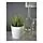 FEJKA - tanaman tiruan dalam pot, dalam/luar ruang rumput, 9 cm | IKEA Indonesia - PE386551_S1