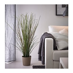 FEJKA - Artificial potted plant, grass, 17 cm
