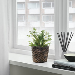 DRUVFLÄDER - Plant pot, water hyacinth/grey, 12 cm
