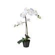 FEJKA - Tanaman tiruan dalam pot, anggrek putih, 12 cm