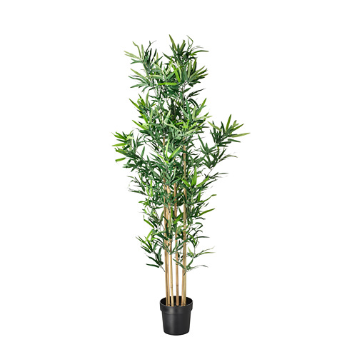 FEJKA Tanaman Tiruan Dalam Pot, Dalam/luar Ruang Bambu, 23 Cm | IKEA ...