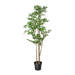FEJKA - Artificial potted plant, in/outdoor Weeping fig, 21 cm
