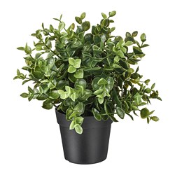 FEJKA - Tanaman tiruan dalam pot, oregano, 9 cm