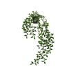 FEJKA - Artificial potted plant, in/outdoor/hanging, 9 cm