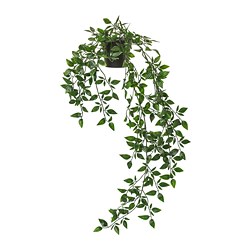 FEJKA - Tanaman tiruan dalam pot, dalam/luar ruang/digantung, 9 cm