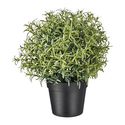 FEJKA - Tanaman tiruan dalam pot, Rosemary, 9 cm