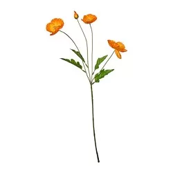 SMYCKA - Bunga tiruan, dalam/luar ruang/Popi oranye, 60 cm