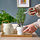 BRYTBÖNA - herb scissors, light green | IKEA Indonesia - PE884635_S1