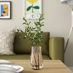 PÅSKÖTRÄD - Vase, glass/light brown, 13.5 cm