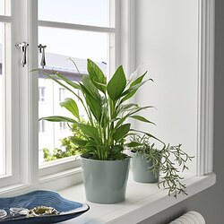 SOJABÖNA - Plant pot, grey/green, 12 cm