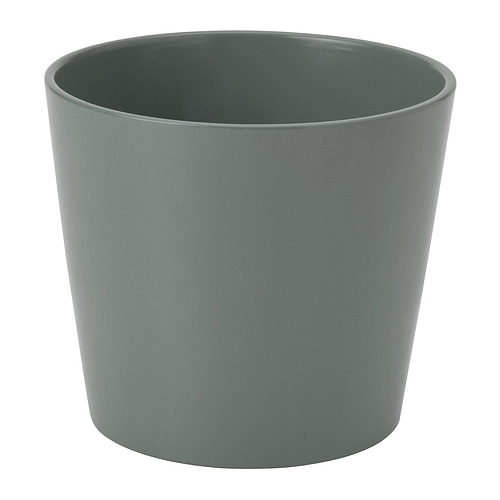 SOJABÖNA pot tanaman