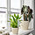 SVÄMSKOG - self-watering insert, terracotta/transparent, 25 cl | IKEA Indonesia - PE952874_S1