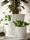 CHIAFRÖN - pot tanaman, putih, 9 cm | IKEA Indonesia - PE748234_S1