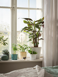 CHIAFRÖN - Plant pot, white, 9 cm