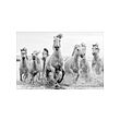 BJÖRKSTA - gambar, horses at the water´s edge, 118x78 cm | IKEA Indonesia - PE886945_S2