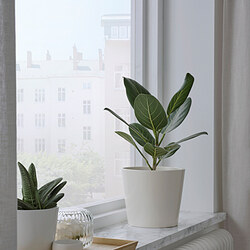 SOJABÖNA - Plant pot, white, 15 cm
