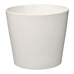 SOJABÖNA - Pot tanaman, putih, 15 cm