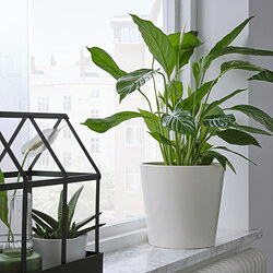 SOJABÖNA - Plant pot, white, 19 cm