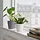 SOJABÖNA - pot tanaman, putih, 9 cm | IKEA Indonesia - PE887449_S1