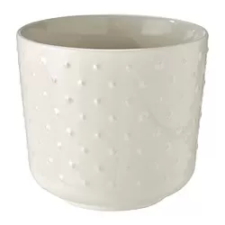 SESAMFRÖN