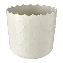 SESAMFRÖN