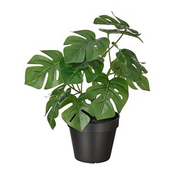 FEJKA - Tanaman tiruan dalam pot, dalam/luar ruang Monstera, 12 cm