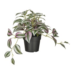 FEJKA - Artificial potted plant, in/outdoor Spiderwort, 9 cm
