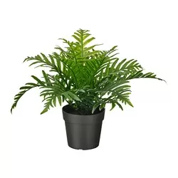 FEJKA - Tanaman tiruan dalam pot, dalam/luar ruang Polypodium, 9 cm