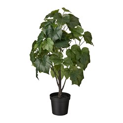 FEJKA - Artificial potted plant, in/outdoor Crimson glory vine, 15 cm