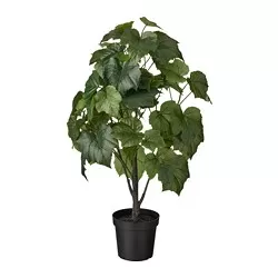 FEJKA - Tanaman tiruan dalam pot, dalam/luar ruang Vitis coignetiae, 15 cm