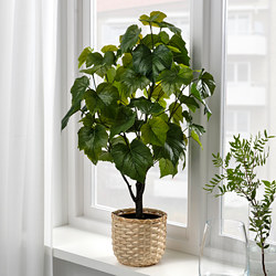 FEJKA - Artificial potted plant, in/outdoor Crimson glory vine, 15 cm