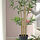 FEJKA - artificial potted plant, in/outdoor bamboo, 23 cm | IKEA Indonesia - PE954245_S1