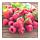 SINNLIG - scented candle in glass, Red garden berries/red, 9 cm | IKEA Indonesia - PE607168_S1