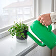VÅRDTRÄD - Self-watering plant pot, in/outdoor transparent/anthracite, 9 cm