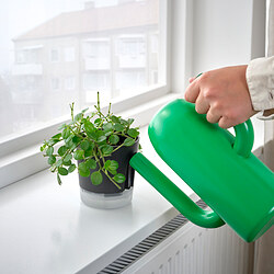 VÅRDTRÄD - Self-watering plant pot, in/outdoor transparent/anthracite, 9 cm