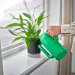 VÅRDTRÄD - Self-watering plant pot, in/outdoor transparent/anthracite, 12 cm