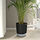 VÅRDTRÄD self-watering plant pot
