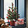 VINTERFINT - artificial potted plant, in/outdoor/Christmas tree green, 55 cm | IKEA Indonesia - PE955091_S1