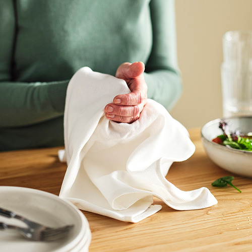 RÖDSPÄTTA tea towel