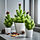 VINTERFINT artificial potted plant