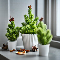 VINTERFINT - Artificial potted plant, in/outdoor Christmas tree/green, 6 cm